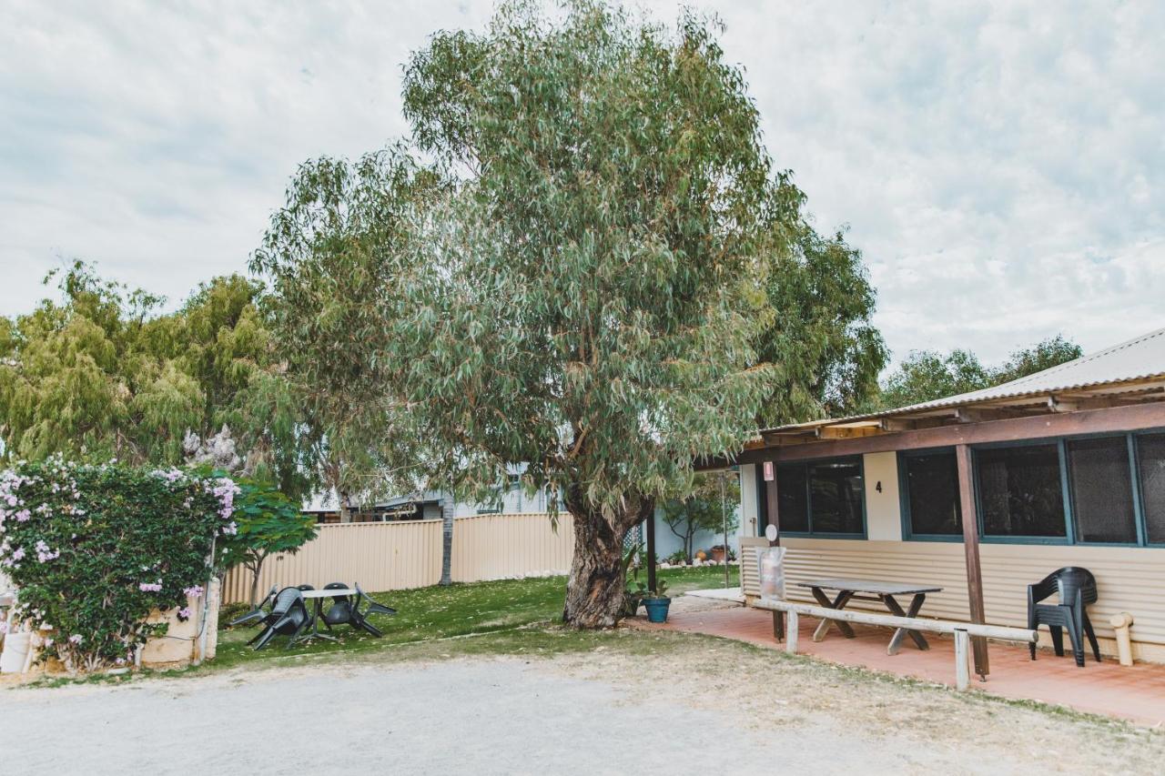 Dongara Hotel Motel Exteriér fotografie